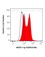Anti-Mouse CD200 (OX90) Proteintech  65230-1-Ig