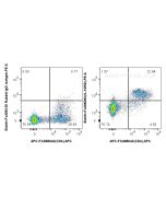FcZero-rAb? Biotin Anti-Human IL-10RB Rabbit Recombinant Antibody Proteintech  Biotin-FcA98292