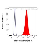 Anti-Mouse EPCR/CD201 Rabbit Recombinant Antibody Proteintech  98248-1-RR