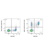 Anti-Human CD314/NKG2D (1D11) Mouse IgG2a Recombinant Antibody Proteintech  65643-1-MR