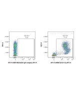 FcZero-rAb? APC Anti-Mouse CD11b (M1/70) Rabbit IgG Recombinant Antibody Proteintech  APC-FcA65672