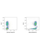 Anti-Human CD55 Rabbit Recombinant Antibody Proteintech  98493-3-RR