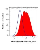 FcZero-rAb? APC Anti-Rat E-cadherin Rabbit Recombinant Antibody Proteintech  APC-FcA98323