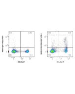Anti-Mouse Neuropilin 1/CD304 Rabbit Recombinant Antibody Proteintech  98638-2-RR