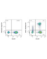 Anti-Human CD8a Rabbit Recombinant Antibody Proteintech  98470-1-RR
