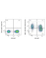 Anti-Human ICAM-1/CD54 (15.2) Mouse IgG2a Recombinant Antibody Proteintech  65567-1-MR