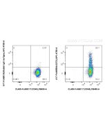 FcZero-rAb? APC-Cyanine7 Anti-Human CD73 (AD2) Rabbit IgG Recombinant Antibody Proteintech  AY7-FcA65564