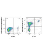 Anti-Human CD11c (BU15) Mouse IgG2a Recombinant Antibody Proteintech  65600-1-MR