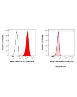 Anti-Human VEGFR2/CD309 Rabbit Recombinant Antibody Proteintech  98009-1-RR