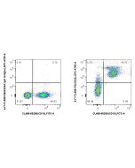 FcZero-rAb? APC-Cyanine7 Anti-Mouse CD24 Rabbit Recombinant Antibody Proteintech  AY7-FcA98176