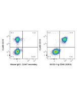 Anti-Human CD40 (G28.5) Proteintech  65103-1-Ig