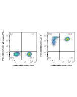 FcZero-rAb? APC Anti-Human CD44 Rabbit Recombinant Antibody Proteintech  APC-FcA98333-3