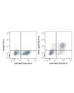 Anti-Mouse CD134/OX40 (OX-86) Proteintech  65136-1-Ig