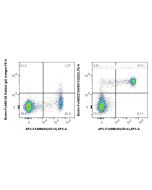 FcZero-rAb? Biotin Anti-Human INSR/CD220 Rabbit Recombinant Antibody Proteintech  Biotin-FcA98227