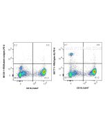 Anti-Human Siglec-8 Rabbit Recombinant Antibody Proteintech  98177-1-RR