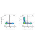 Anti-Guinea Pig CD8b Rabbit Recombinant Antibody Proteintech  98585-1-RR