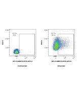 FcZero-rAb? APC Anti-Mouse CD70 Rabbit Recombinant Antibody Proteintech  APC-FcA98212