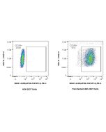 Anti-Mouse APRIL/TNFSF13 Rabbit Recombinant Antibody Proteintech  98331-2-RR