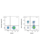 Anti-Human CD244 Rabbit Recombinant Antibody Proteintech  98133-1-RR