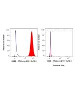 Anti-Human Nectin-2/CD112 Rabbit Recombinant Antibody Proteintech  98283-1-RR